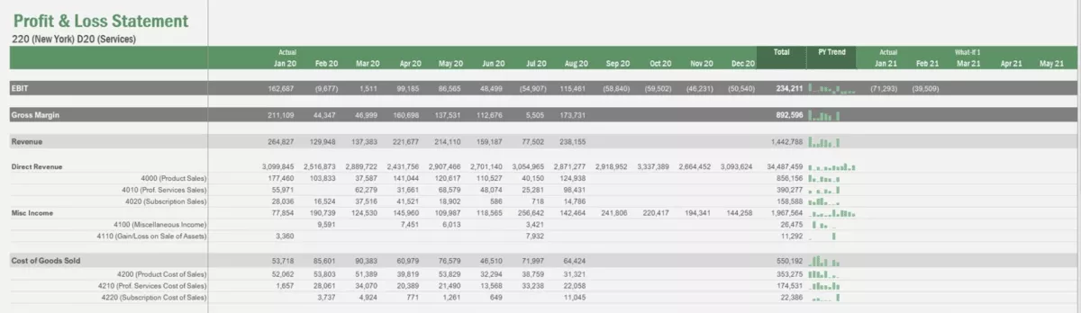 A screenshot of a project management software profit and loss statement showing monthly revenue, gross margin, and cost of goods sold across multiple categories, in financial modeling software.