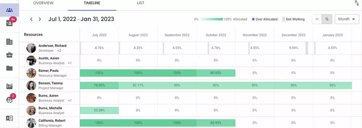 Resource allocation timeline in paymo alternatives displaying team members and monthly workload percentages across projects.