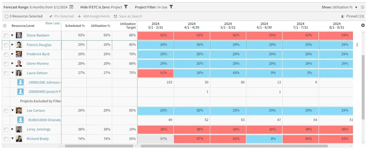 Screenshot of project cost management software showing resource utilization percentages over six months in a detailed table.