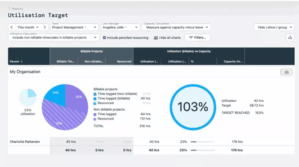 Dashboard screenshot showing software for consultants tracking project utilization with charts and metrics at 103% target.