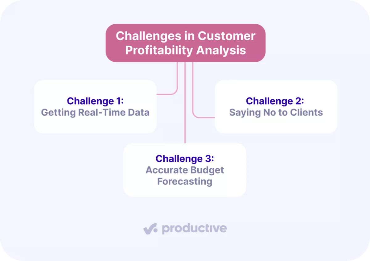 An infographic of three challenges in customer profitability analysis: real-time data, saying no to clients and budget forecasts.